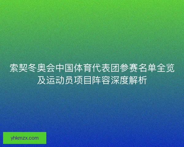 索契冬奥会中国体育代表团参赛名单全览及运动员项目阵容深度解析